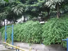 八国城后门精装修大四房价格便宜楼层好视野好出行方便