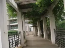 徐汇区首批空中花园小区,1+1户型,景观房,1梯2户