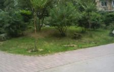 东景康庭 2室1厅 东