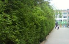 东景康庭 3室2厅 西南