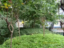 区府 富士达文体苑四房103万