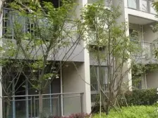 人和 海洲国际公寓一房41.2万