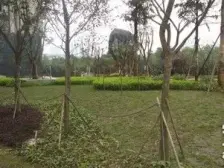 海洲国际公寓 1室1厅 南