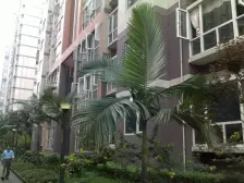 滩子口片区 天祥苑三房70万