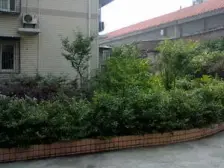 正规两房,居家安静,出行方便,楼梯房中间楼层