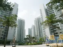 大坪 创景大厦一房64.8万