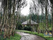 单价6千买金科清水大三房,业主急售,全款证在手