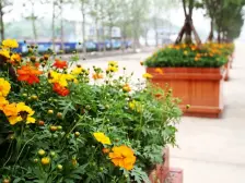 金科4联排 地下室全采光 视野好 靠山看水 绿带环腰