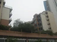 纯洋房社区顶跃实得面积大带露台从新翻新过