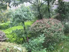 洋房社区,跃层,精装修,拎包入住,户型通透