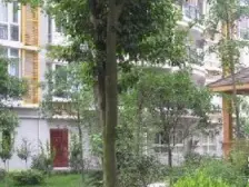 成熟小区配套齐全,出行方便双轻轨,下楼就是万象城