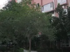 上新街 天水伴山居一房56.5万