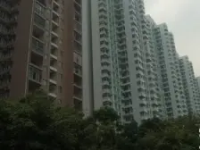 杨家坪 杨馨花园二房51万