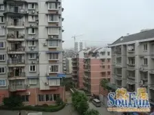 双柏花园 2室1厅 南