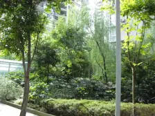 城南花市旁加装电梯三房业主诚心出售钥匙在手随时看房