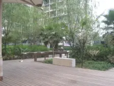 五朵金花 红梅花儿开朵朵放光彩六年影响一生