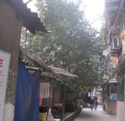 东珠市街28号2室2厅东南