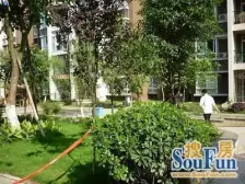 华茂 巨宇江南二房32万