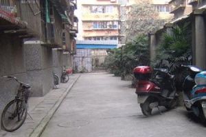 沙湾北区商寓 2室1厅 南