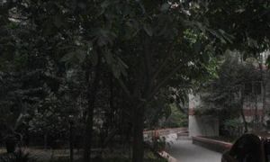 东安北路6号2室1厅东南