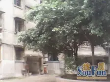 老城区 月牙村二房30.9万