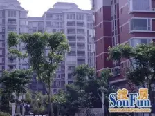 万达广场 竣祥红河枫景西区四房52万