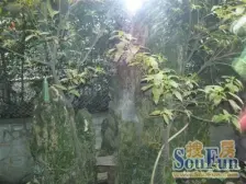 杨公桥 凤凰小区(沙坪坝)三房