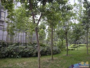 武城大观城市花园二期3室1厅西南