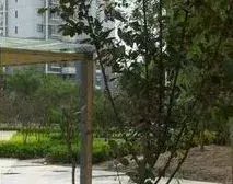 弹子石 紫光学苑二房80万