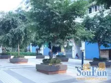 成刚大楼B栋 3室2厅 西