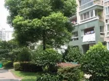 五角场适合居住的两房,高绿化小区。