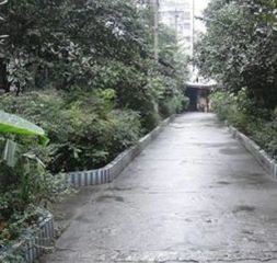 金牛综贸大厦 2室1厅 东南