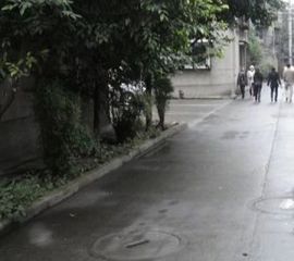 金牛综贸大厦 4室4厅 南