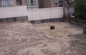 双兴名邸四季春天 2室1厅 南