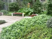 寸滩 巨宇融鑫花园二房64万