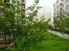 南坪 洋世达花园三区商住楼三房80万