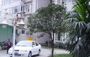 紫阳花园2室1厅南
