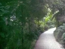 南区路鑫安大酒店旁 下1层楼 卧室客厅都看江 视野好