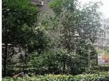 巴蜀俊秀 4室2厅 西南