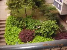 南坪 世纪阳光小区(南岸)三房99万