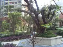 世纪阳光小区(南岸) 4室2厅 东南