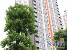 新世纪楼上阳光丽舍精装单配出售 出门轻轨