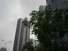 杨家坪 西郊路24巷一房