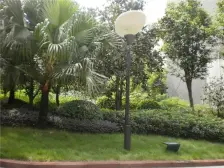 杨家坪 西郊路24巷二房42.2万