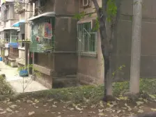 跃进村 革新村二房20.6万