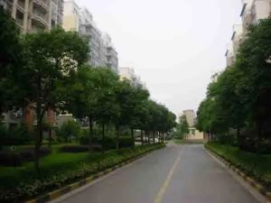 龙池街道 · 龙池花园 · 3室 · 2厅