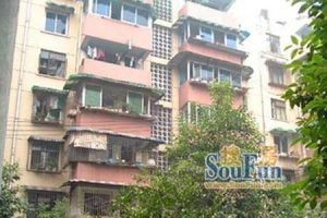 少陵横街34号 2室1厅 南