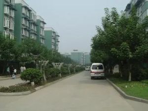 恋日家园A区 3室1厅 东南