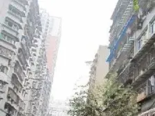 马道子 1室1厅 南