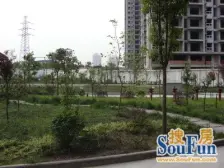 协能枫馨丽园 4室2厅 南